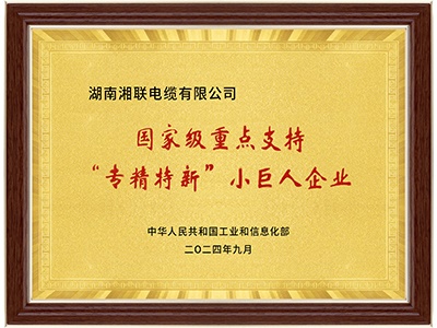 國家級專(zhuān)精特新“小巨人”企業(yè)
