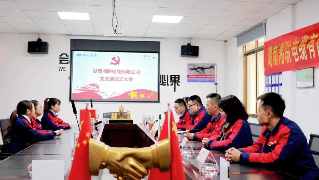 新征程 | 熱烈祝賀湖南湘聯(lián)電纜有限公司黨支部正式成立！