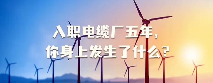 入職電纜廠(chǎng)五年，你身上發(fā)生了哪些變化~