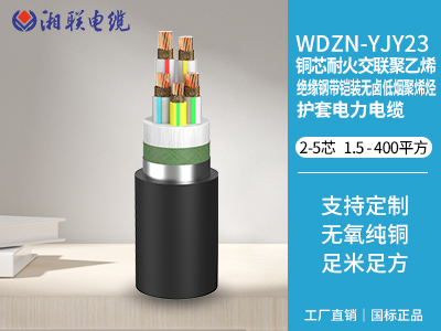 電纜接頭有哪些常見(jiàn)的故障類(lèi)型？
